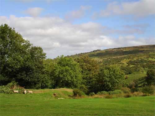 Belstone on Dartmoor