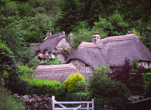 Buckland-in-the-Moor