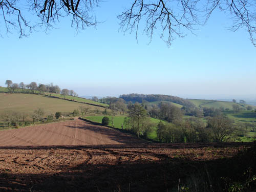 Distant view from Cadbury Hill Fort