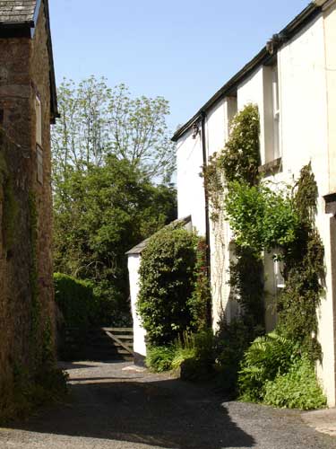 little lane in Chagford