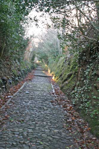 Choirboys path