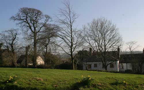Down St. Mary village green