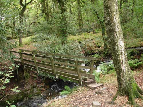 bridge over river