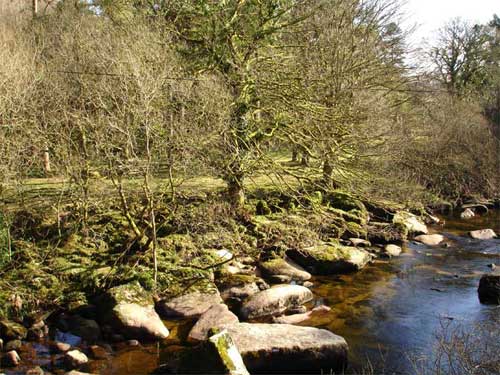 West Dart river at Huccaby
