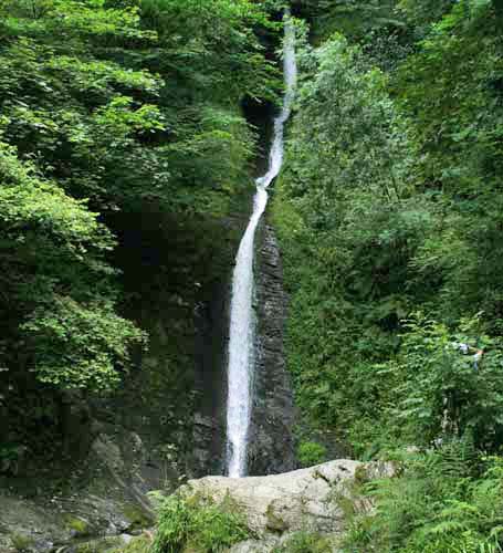 Lydford Gorge