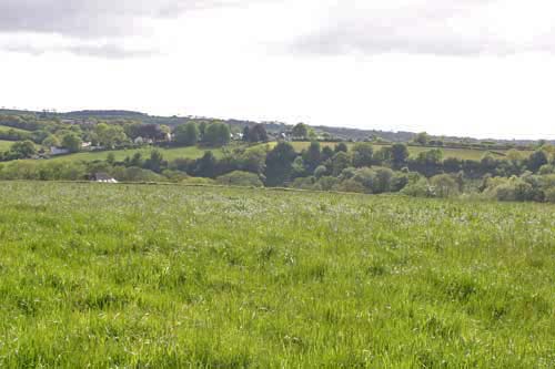 Northlew countryside