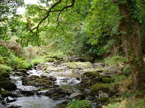 East Okement