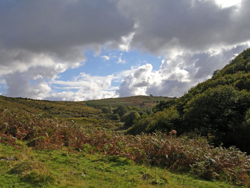 Scarey Tor