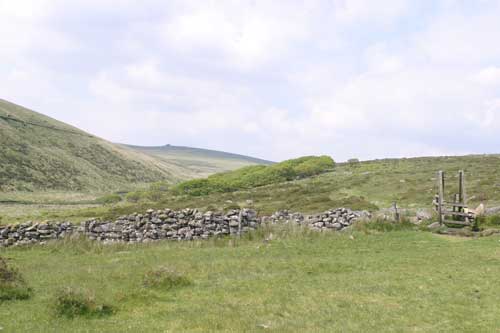 Wistmans Wood from a distance
