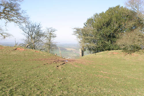 Distant view from Cadbury Hill Fort