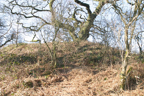 Earthworks at Cadbury castle