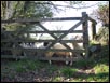 sheep at Peter Tavy sheep at Peter Tavy