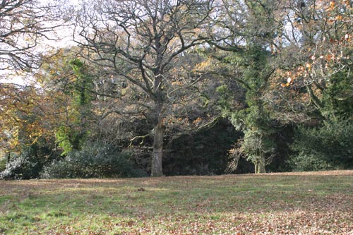 Along the River Tavy, leading to Longtimber Tor