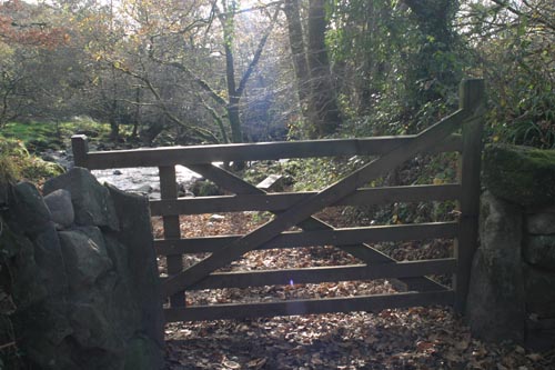 River Tavy