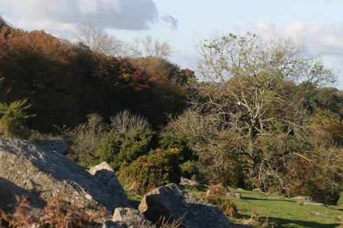 Longtimber Tor Longtimber Tor